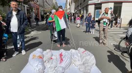 France: Pro-Palestinian march in Paris highlights famine and killings of journalists