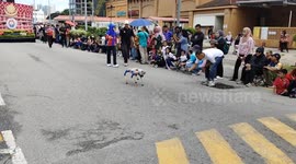 Robot Dog Stuns Crowd at Malaysia’s Merdeka Parade