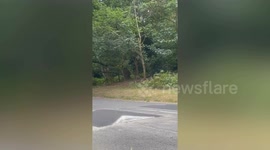 Residents left baffled after council's speed bumps built too short