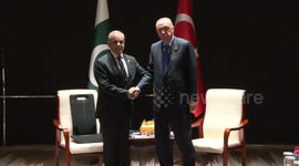 China: Turkish president receives Pakistani prime minister on sidelines of SCO summit in China