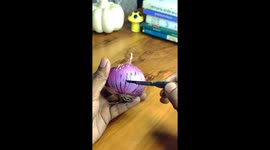 What lies beneath: Viral microscopy reveals onion’s hidden ecosystem