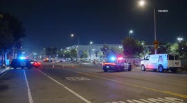 US, Los Angeles: Willowbrook Fatal Vehicle vs Pedestrain Traffic Collision