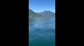 Orcas surround watercraft  in Howe Sound, Squamish
