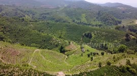 China: Southwestern Chinese city thrives on coffee tourism