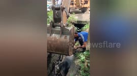 Community Effort: Cow Saved from Drain in Madhya Pradesh