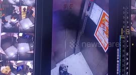 Dog hoisted aloft inside lift when leash gets stuck between doors