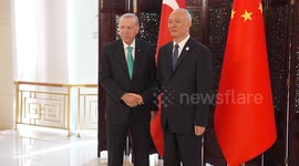 Turkish President Erdogan meets Chinese Communist Party Secretary Cai Qi