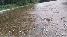 Force of Nature: Water Carves Its Relentless Path