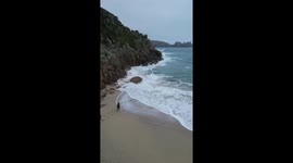 'We Had the Entire Beach to Ourselves' - Drone footage captures an enchanting surprise proposal