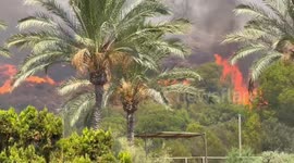 Spain: Forest Fire Erupts in Benalmádena Prompting Evacuation