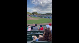 Blond Dog Fetches Baseball Bat