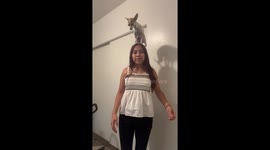 Dog Sits on Dancing Woman's Head