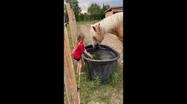 Splash Fighting With a Horse