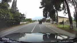 Dashcam Captures Collision With a Horse