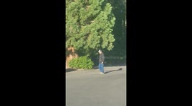 Dumpster Bear Goes Unnoticed