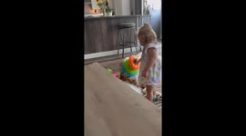 Saint Bernard Unphased by Sister's Shenanigans