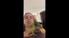 Parakeet Tries to Fly Away With Owner