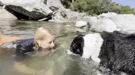 Border Collie Making Bubbles With His Owner