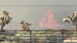 US, Los Angeles: Palmdale 20 Acre Brush Fire