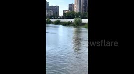 Four people swept into river by incoming tide but manage to escape by clinging onto dead tree branch