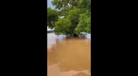 Three schoolboys found clinging to tree to survive as floods hit Thailand