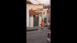 Goat stranded on roof is rescued in Brazil