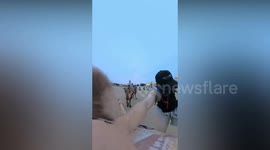 Foolish tourist gets the hump after he falls off while riding one-handed