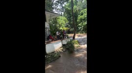 Hero restaurant worker rescues dog from fast-flowing river