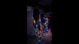 Horse trots around with Christmas lights for a magical holiday celebration