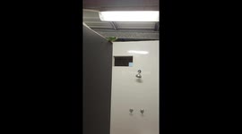 Camp Shower Frog Splat