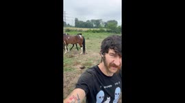 Farrier playfully collides with horse in Central Ohio, USA