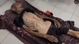 Gaza records 185 deaths from starvation in August, highest monthly toll since war began