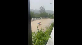Tourist stuns locals by catching a fish barehanded on flooded road