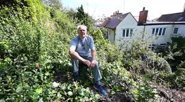 Vicar seeking £30k after contractors from care home cut down garden tree and shrubs