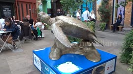 Tusk Turtle Trail 2025 - Golden Turtle Dude Winking At Us sits cosily in Covent Garden Neals Yard