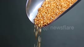 China: Gold prices surge to record highs amid escalating safe-haven demand