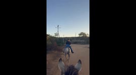 Spooked Horse Almost Falls With Rider