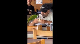 Man Shares Lunch With Macaw