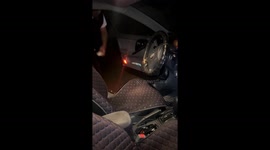 Spider crawls inside car steering wheel in in Sary-Chelek, Kyrgyzstan