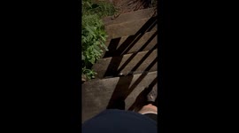 Spider Owns the Neighborhood