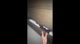 Cat Blocks Drawer Close With Unimpressed Stare