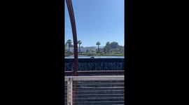Turtle Couple Grow Family On Scenic Fountain