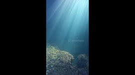 Freediver Blows Bubble Ring From Sea Bottom