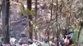 Crashed helicopter with American onboard found in Indonesian jungle