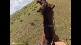 Horse Fighting and Rider Frightening