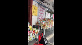 Stray dog tip-toes away while stealing teddy from shop