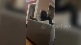 Woman spends ages looking for her cat only to realise it was sat right behind her