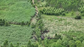 Thai military clashes with families as they remove encroaching homes from territory