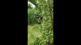 Thai soldiers wrestle with Cambodian villagers as they clear homes from border