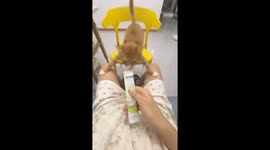 Pet owner teases kitten while feeding him snack